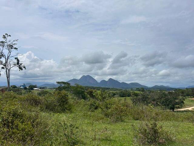 Foto de cima do Lote